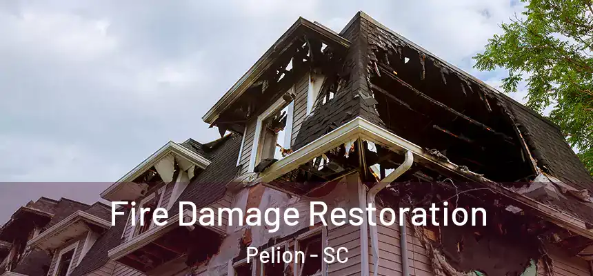  Fire Damage Restoration Pelion - SC