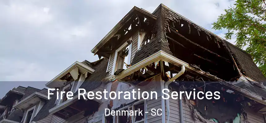 Fire Restoration Services Denmark - SC