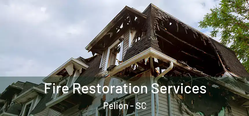  Fire Restoration Services Pelion - SC