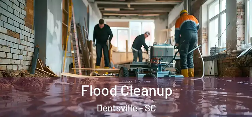 Flood Cleanup Dentsville - SC
