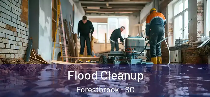  Flood Cleanup Forestbrook - SC