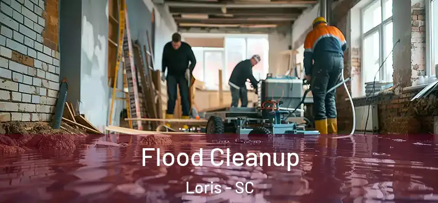 Flood Cleanup Loris - SC