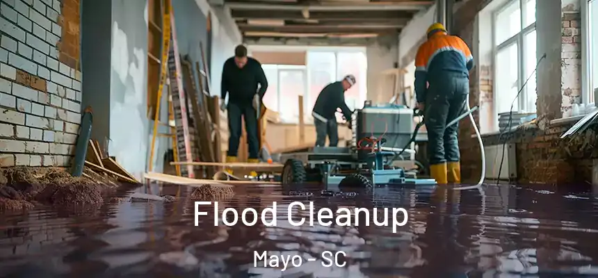  Flood Cleanup Mayo - SC