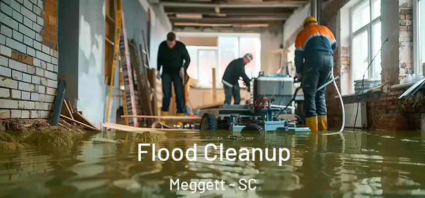  Flood Cleanup Meggett - SC