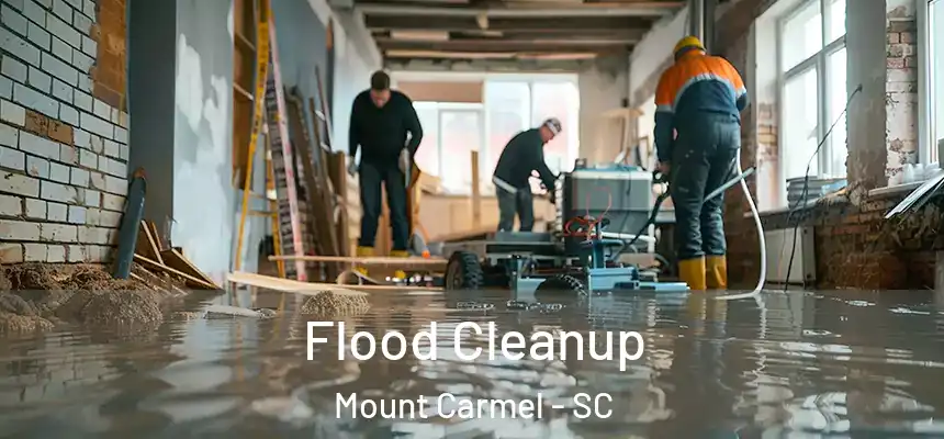  Flood Cleanup Mount Carmel - SC