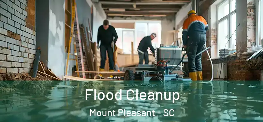  Flood Cleanup Mount Pleasant - SC