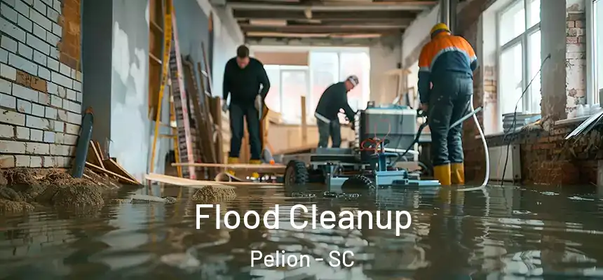  Flood Cleanup Pelion - SC