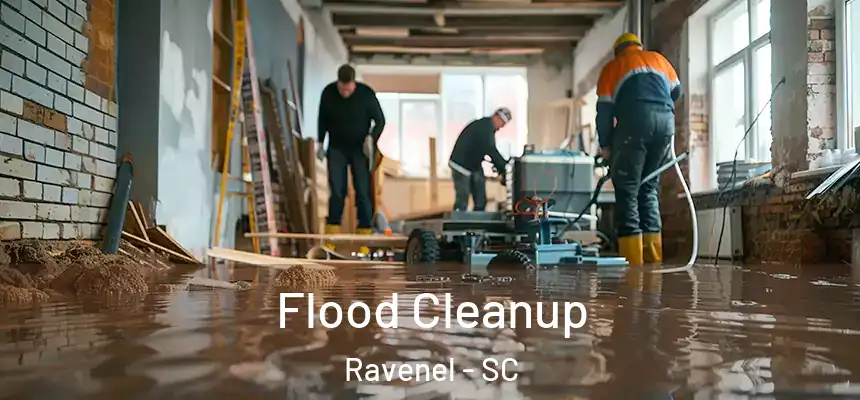  Flood Cleanup Ravenel - SC