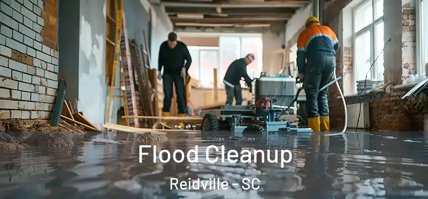 Flood Cleanup Reidville - SC