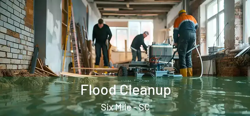 Flood Cleanup Six Mile - SC