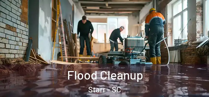  Flood Cleanup Starr - SC