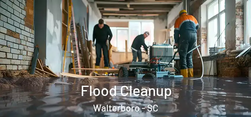 Flood Cleanup Walterboro - SC