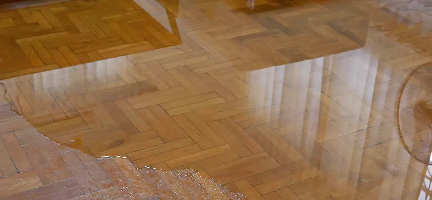 Laminate Wood Floor Water Damage Repair in Spartanburg