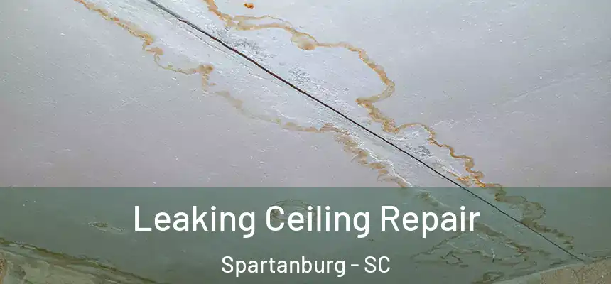 Leaking Ceiling Repair Spartanburg - SC