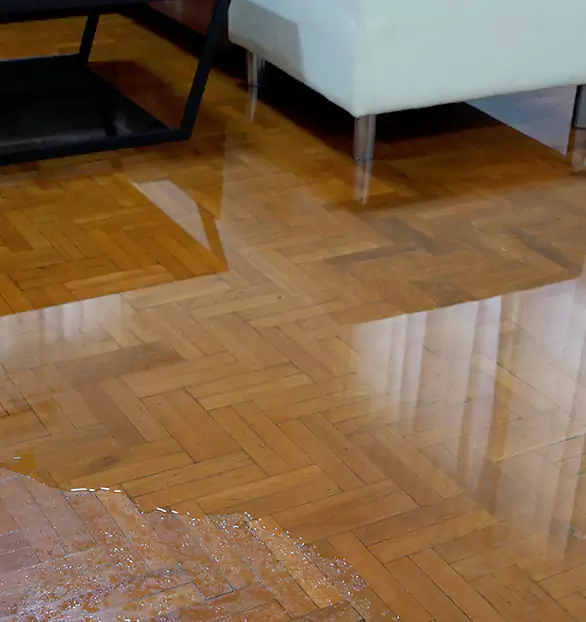 Trusted Emergency Water Restoration Company in Spartanburg, SC