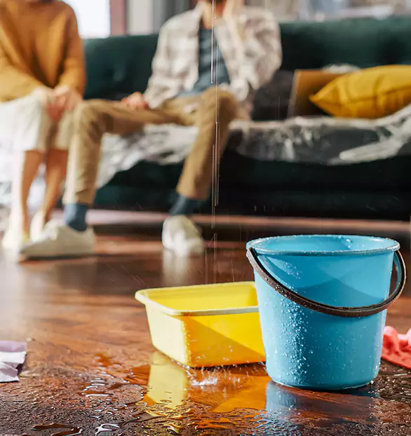 Reliable Water Mitigation Company in Spartanburg, SC