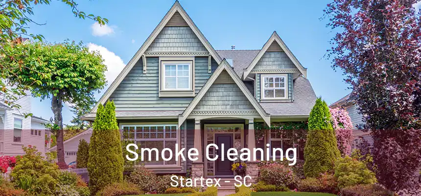  Smoke Cleaning Startex - SC