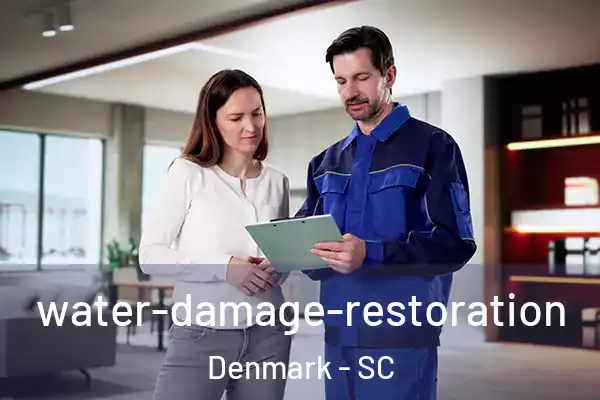  water-damage-restoration Denmark - SC