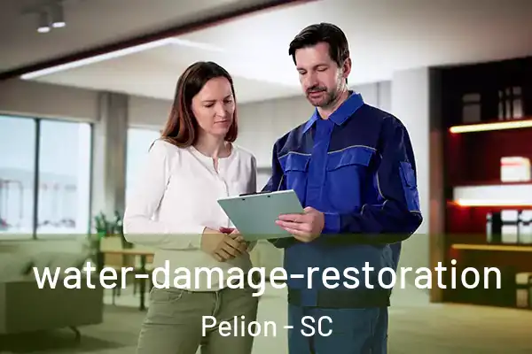  water-damage-restoration Pelion - SC